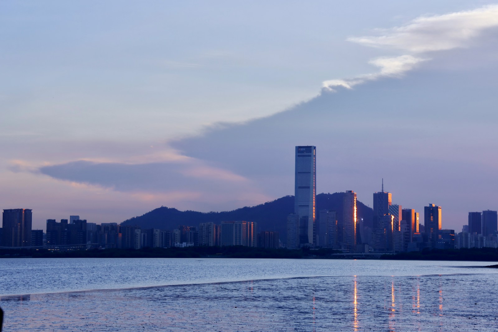 Discovering and realising global growth potential